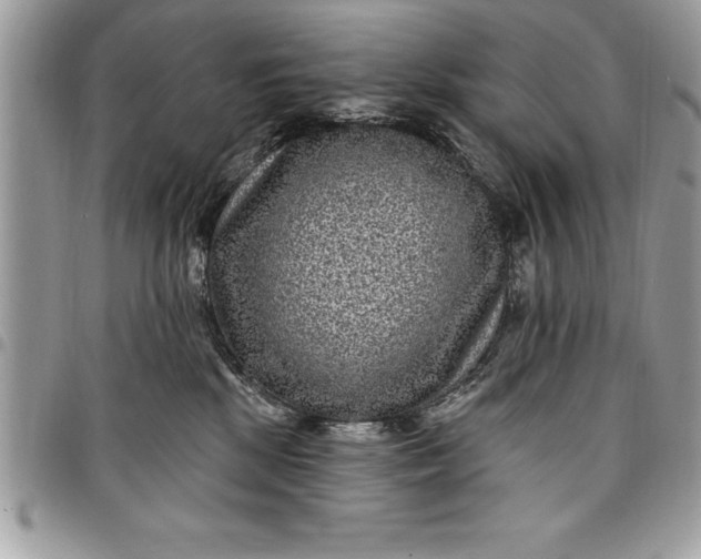 X0000097890281200803281252