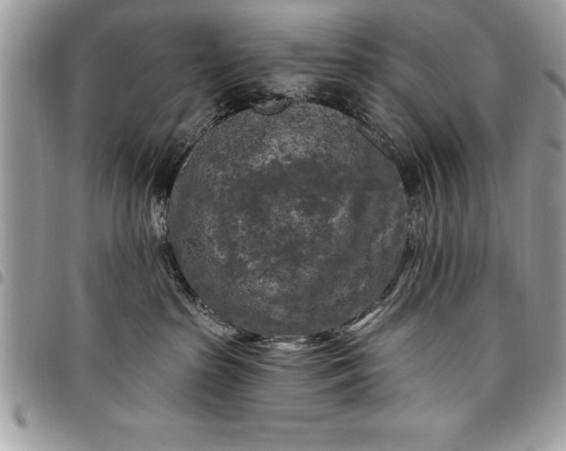 X0000097890285200803281253