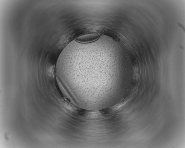 X0000097890286200803281253