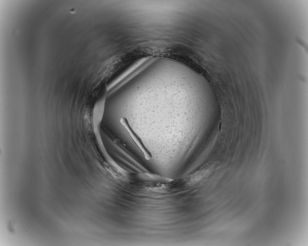 X0000097890288200803281253