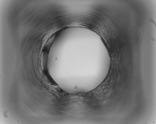 X0000097890289200803281252