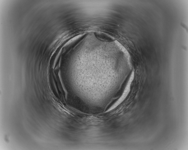 X0000097890290200803281252