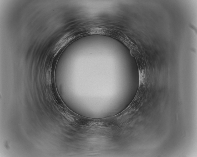 X0000097890291200803281252