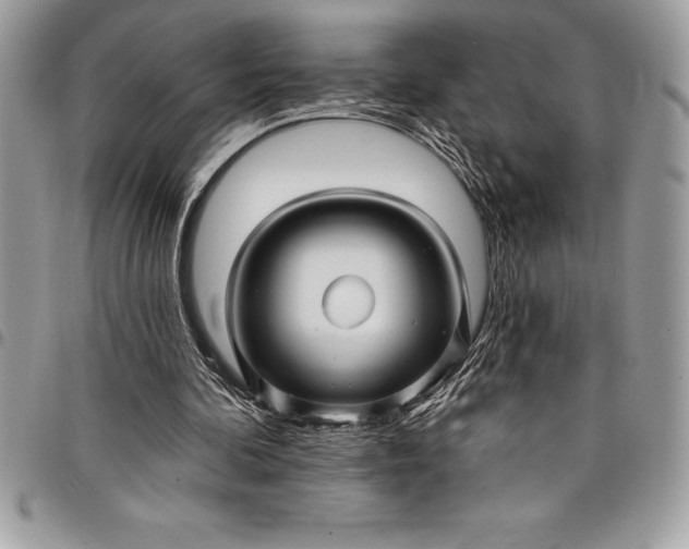 X0000097890292200803281252