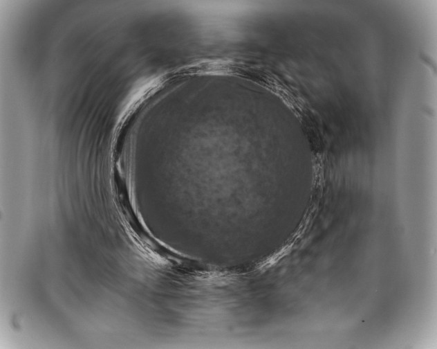 X0000097890293200803281252