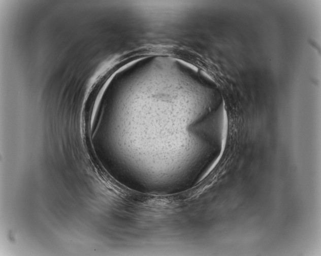 X0000097890294200803281252