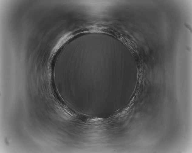 X0000097890295200803281252