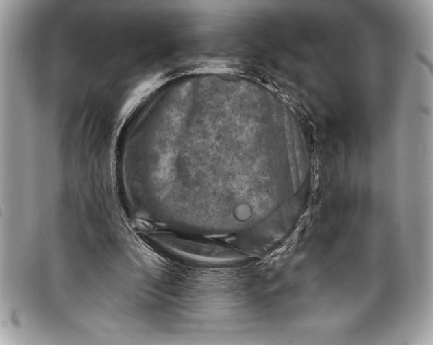 X0000097890296200803281252