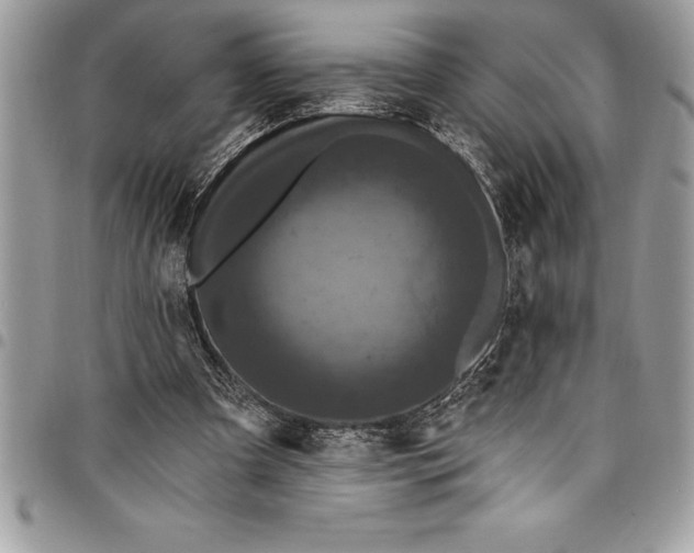 X0000097890297200803281252