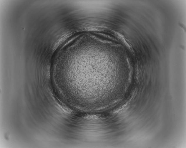 X0000097890299200803281252