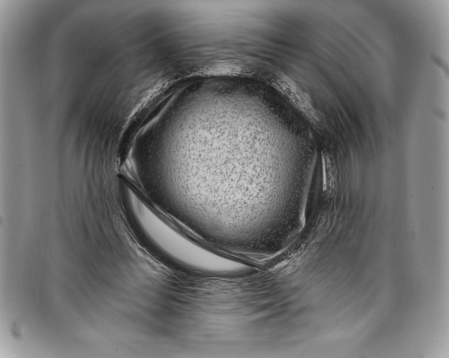 X0000097890300200803281252