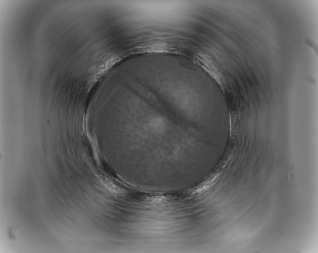 X0000097890301200803281252