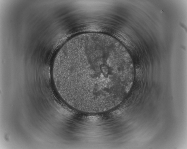 X0000097890302200803281252