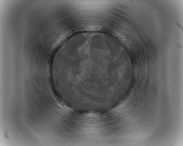 X0000097890303200803281252