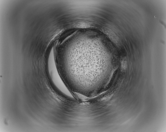 X0000097890304200803281252