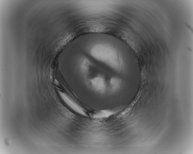 X0000097890305200803281252