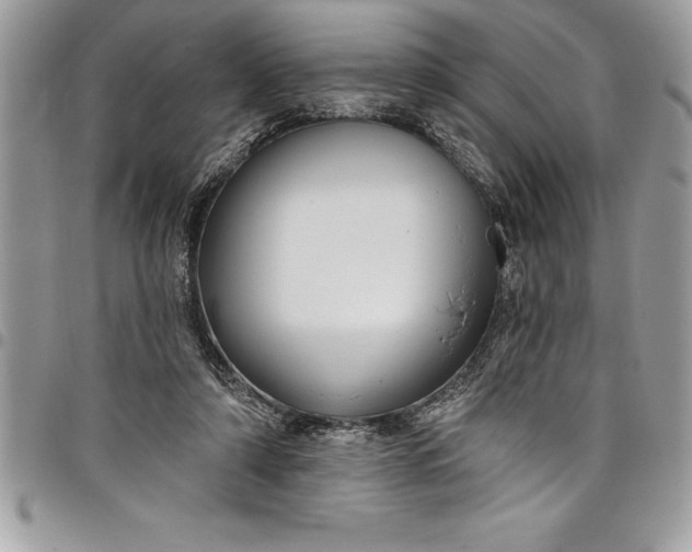 X0000097890306200803281252