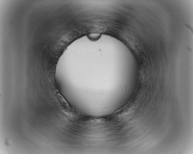 X0000097890307200803281252