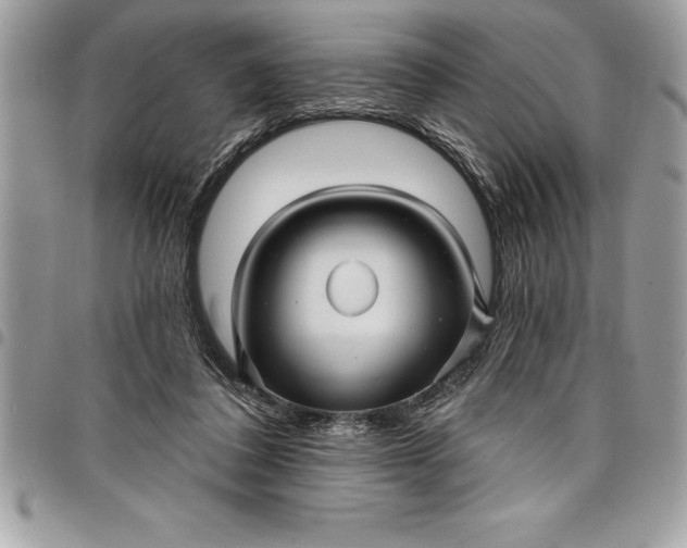 X0000097890308200803281252