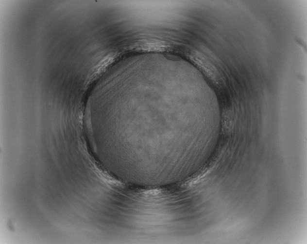 X0000097890309200803281252