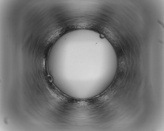 X0000097890310200803281252