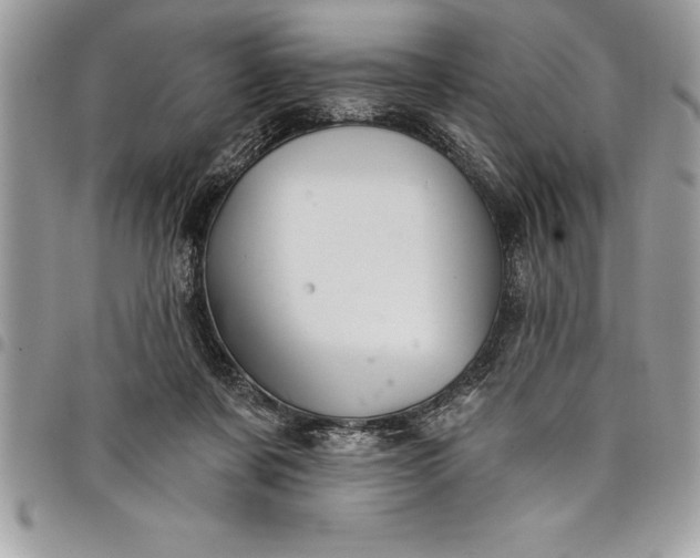 X0000097890311200803281252