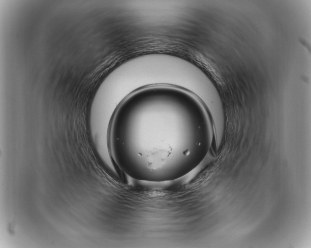 X0000097890313200803281252