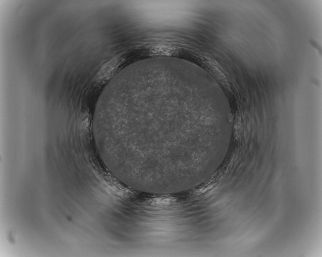 X0000097890314200803281252