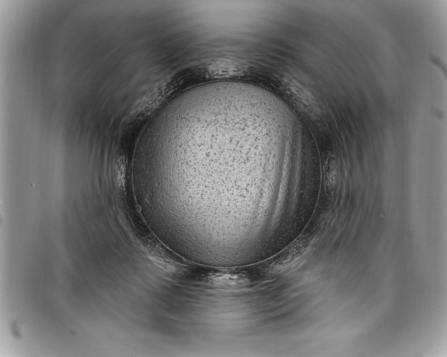 X0000097890315200803281252