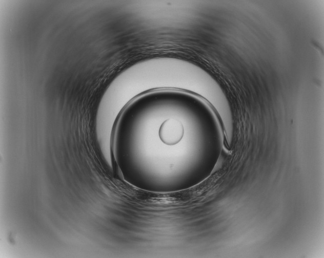 X0000097890316200803281252