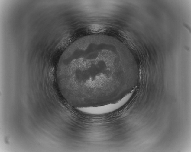 X0000097890319200803281251