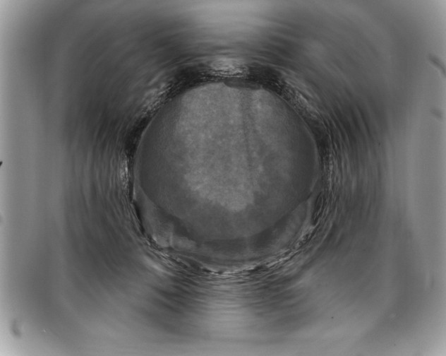 X0000097890320200803281251