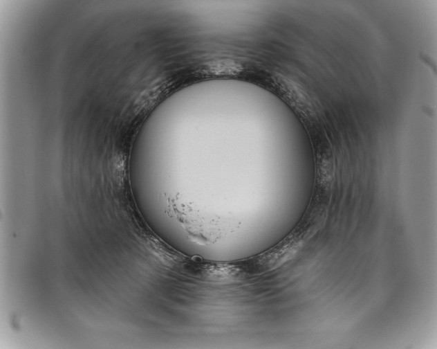 X0000097890321200803281251