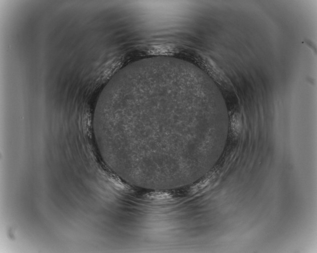 X0000097890322200803281251