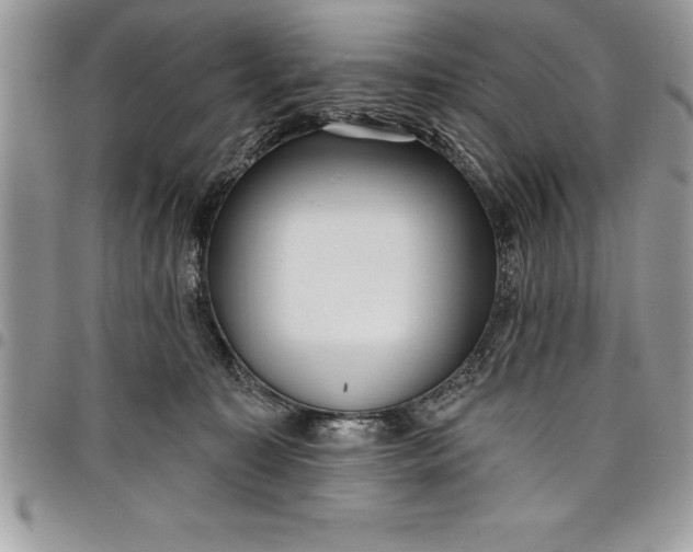 X0000097890323200803281251