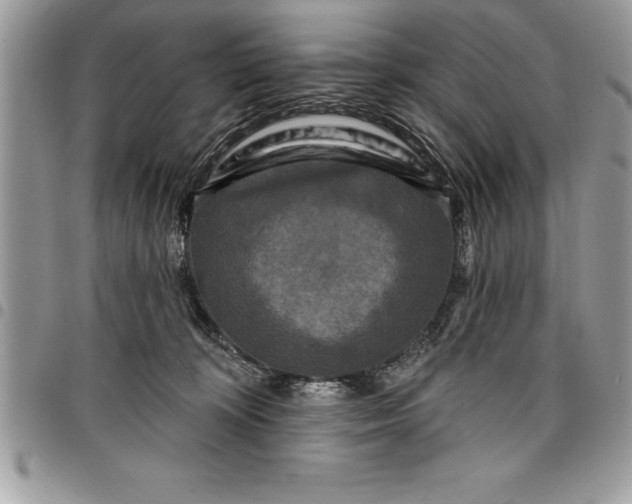 X0000097890324200803281251