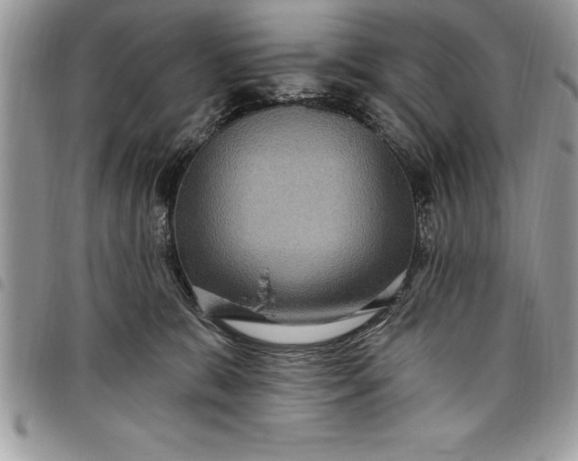 X0000097890327200803281251