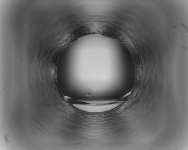 X0000097890329200803281251