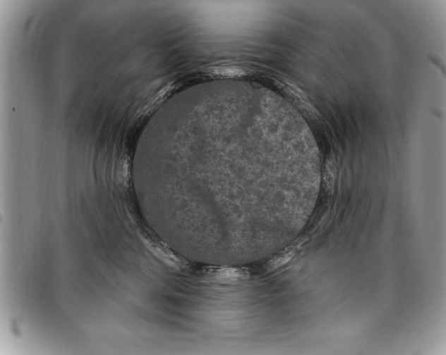 X0000097890330200803281251