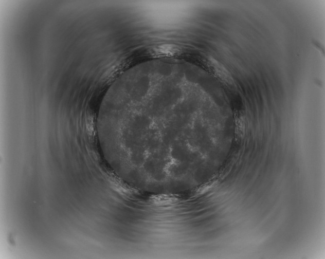 X0000097890331200803281251