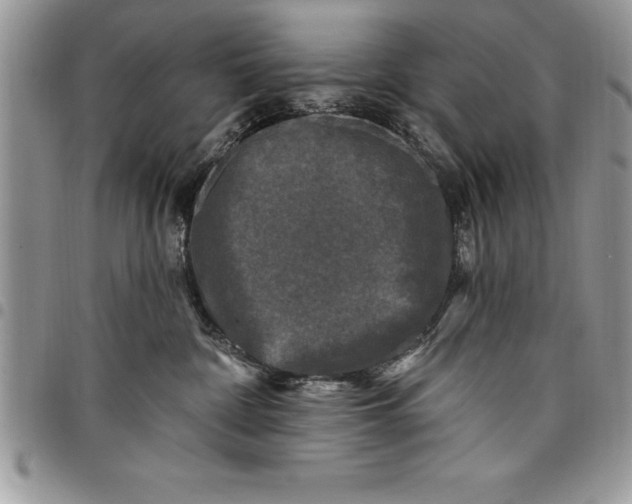 X0000097890332200803281251