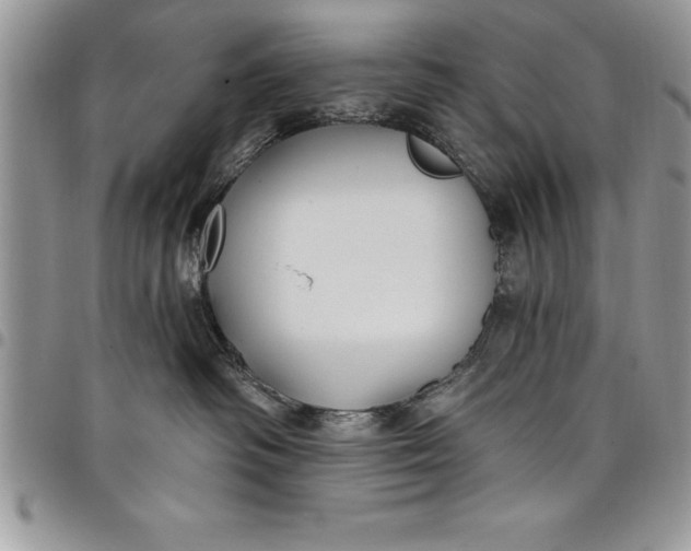 X0000097890334200803281251