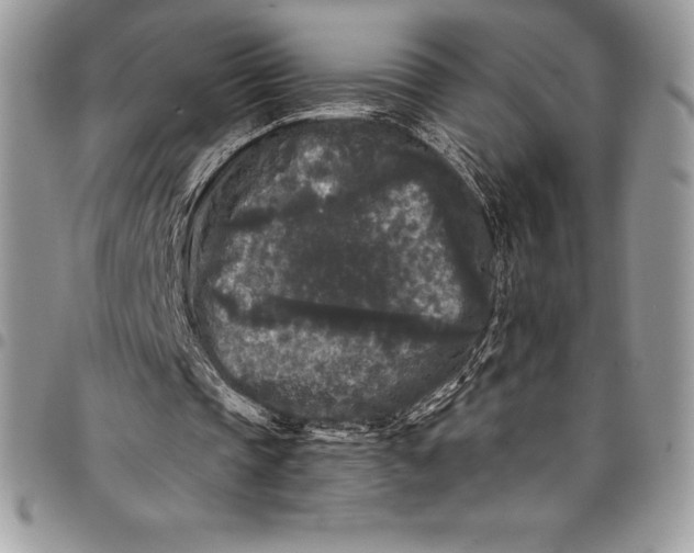 X0000097890337200803281250