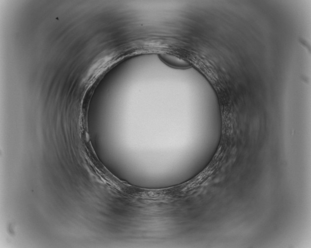 X0000097890338200803281250