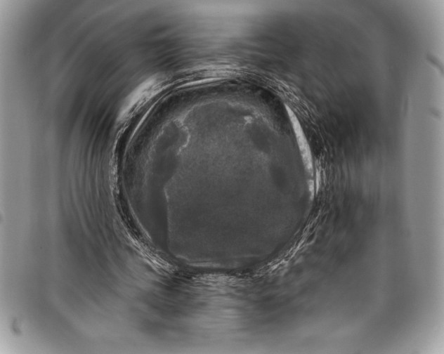 X0000097890339200803281250