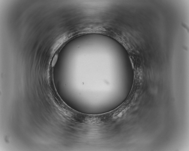 X0000097890340200803281250