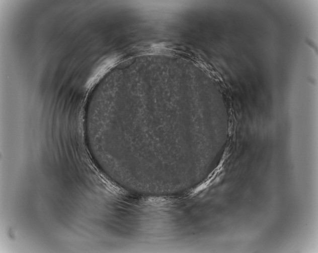 X0000097890341200803281250