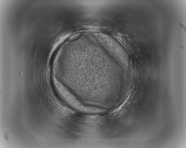 X0000097890342200803281250