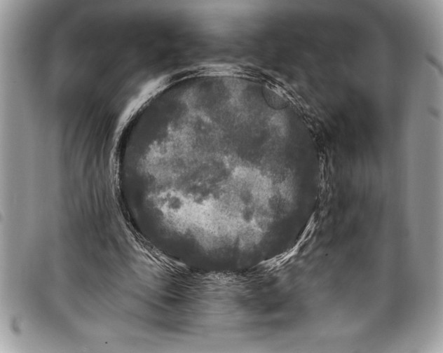 X0000097890343200803281250