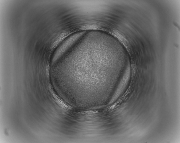 X0000097890345200803281251